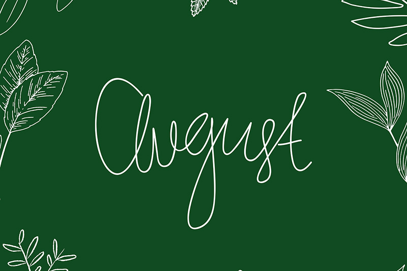 Mid-Year Emotional Check-In: Secure Today, Strong Tomorrow