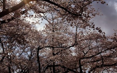 Navigating Menopause and Relationships