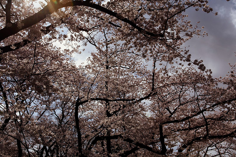 Navigating Menopause and Relationships