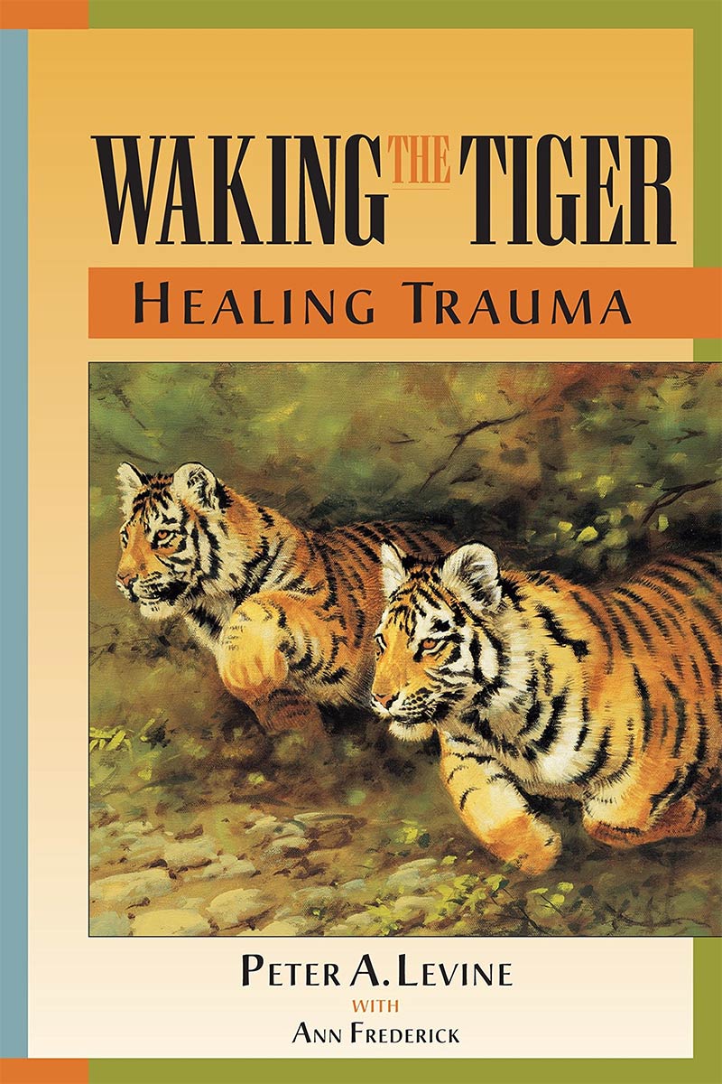 walking the tiger book